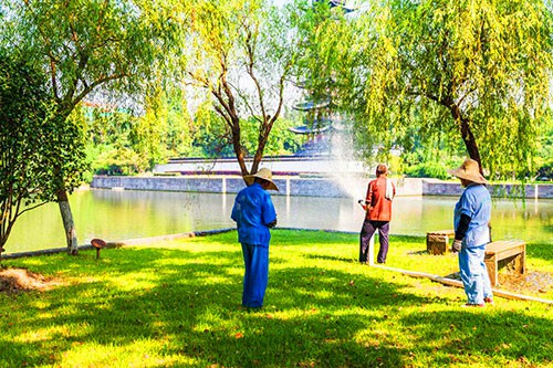 園林綠化養(yǎng)護(hù)